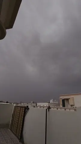 الآن جوالبريمي سلطنة عمان ، 20/7/2025