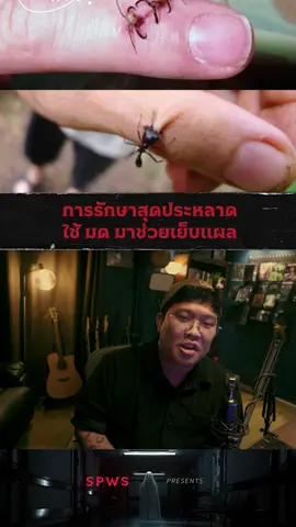 🔥 มาแล้ว ! 'หมึกกรุบ' 3 รสชาติใหม่ 🔥 รสน้ำจิ้มงา, รสก๋วยเตี๋ยวเรือ และ กลิ่นปูผัดผงกะหรี่ 👉Lazada : https://s.lazada.co.th/l.Wys8 👉Shopee : https://shope.ee/5zxPcgVW7c 👉Tiktok : https://bit.ly/tiktoksunsu 👉Line MyShop : https://bit.ly/linesunsu