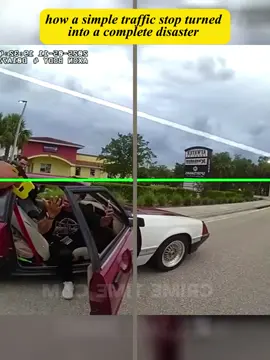 How a Simple Traffic Stop Turned Into a Complete Disaster #copsoftiktok #cops 