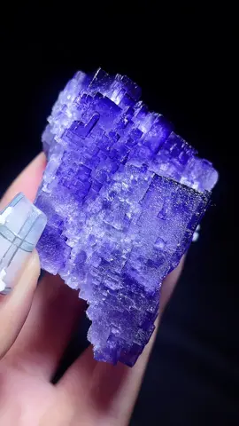 QR code fluorite specimen ❤️ From Xinjiang China  very unique shape purple color 🥰 #specimen #crystalcollection #crystalhunting #crystallife #crystalwork #rutilequartz 