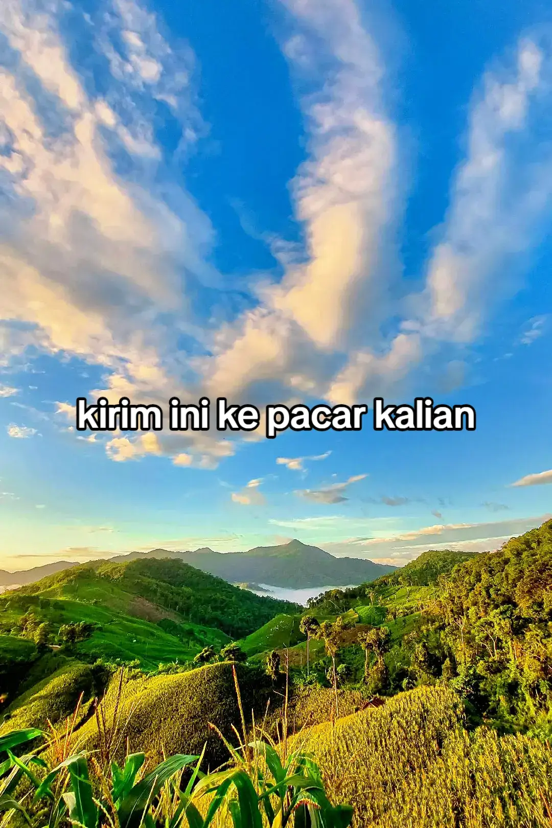 #xyzabc #storybucin #foryou #foryoupagе #4u 