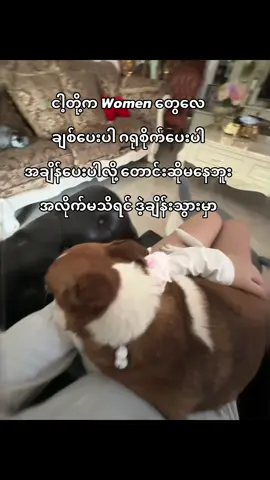 ချစ်လားလဲမမေးဘူး ပစ်ထားလဲမဆွေးဘူး🤓#noe #noe🐰 @Noe Noe 