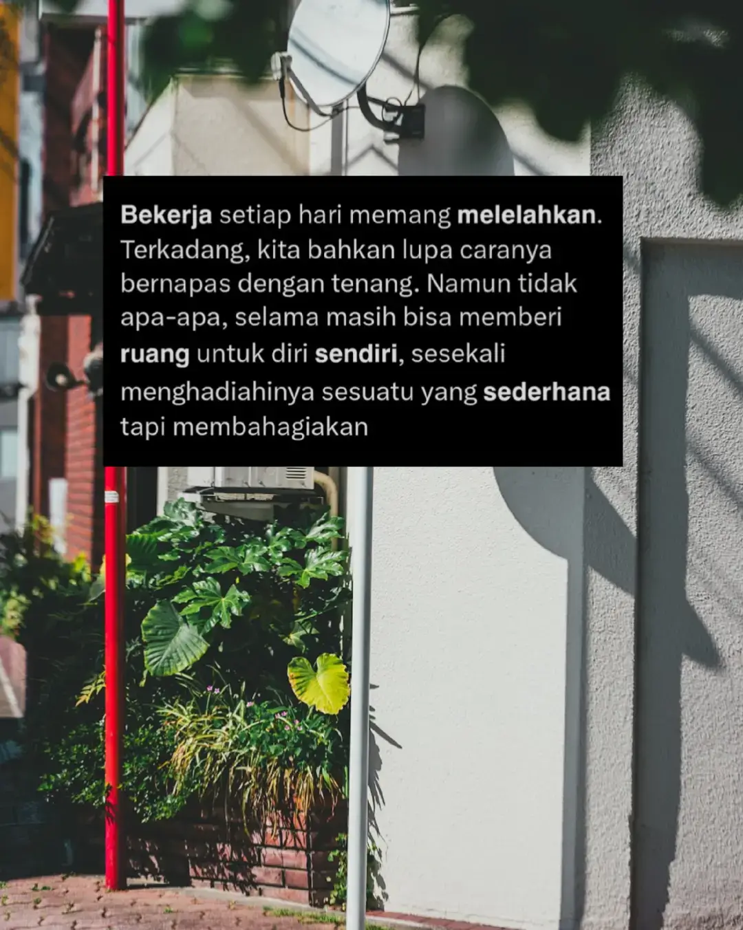 #fyp #4u #xyzbca #foryou #fypviral #fypage #foryoupage 