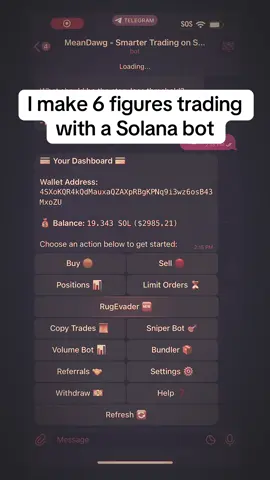 If I can make 6 figures trading Solana memecoins using a Solana trading bot, then you can too, I am showing you. #solana #memecoins #memecoinseason #crypto #memecoin 