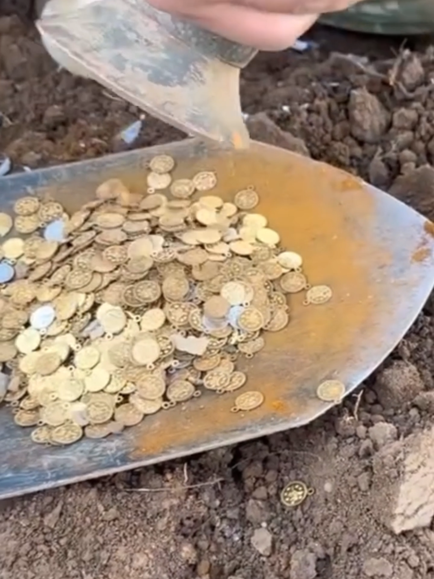 Gold hunting on rock #gold #metaldetecting #treasure_yg #treasure #treasurehunting #goldfinds #goldenretriever #history #facts #fypシ゚
