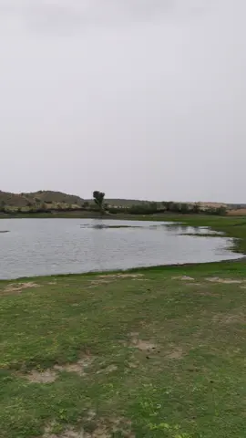 #ٿرپارڪرجاخوبصورت_منظر  #ٿرپارڪرجامنظر  #Video_Tips♥️📸  #viral_video  #trendingvideo  #Foryou_Please  #