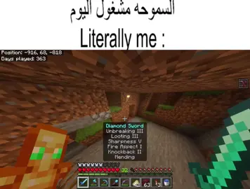 #Minecraft