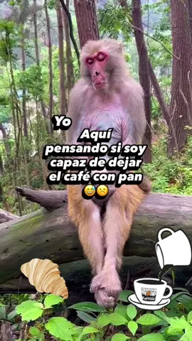 #buenosdias☀️🙏✨💕 
