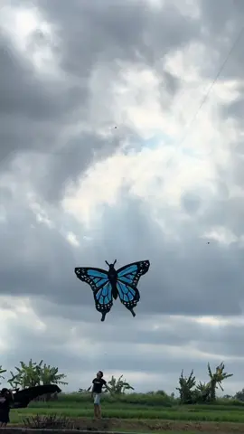 🦋#butterfly  #layangankupukupu 