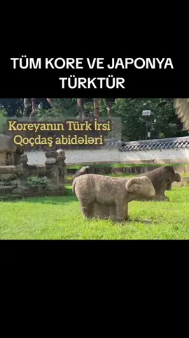 #göktürk #Türk #keşfet 