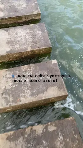 После 3 месяцев записи на визу🤣