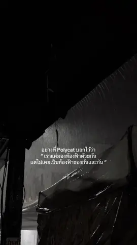 เธอแค่ให้ฉันอยู่แต่ไม่ให้ฉันเข้าไป ;) #fyp #polycat 