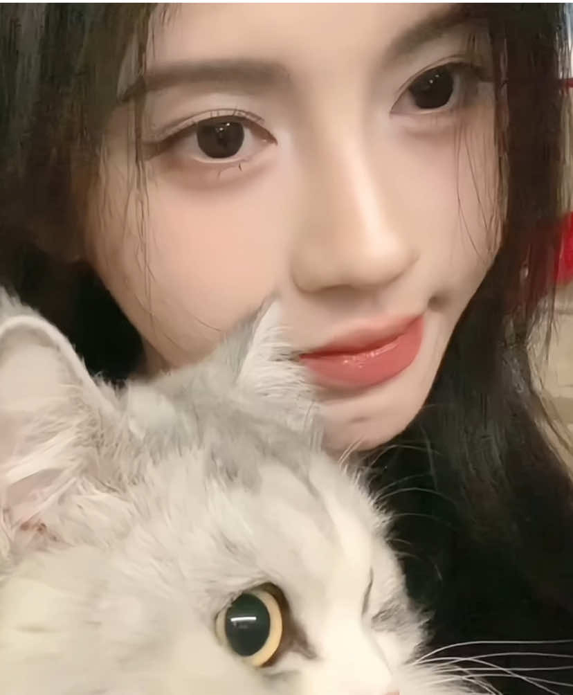 ในคลิปนี้มีแมว2ตัว 👀🫧 [25.07.20] Hahhhnxsm Weibo update  #fypシ #jujingyi #จวีจิ้งอี #鞠婧祎 #kikuchanj #cúctịnhy #fpyyyyyyyyyyyyyyyyyyyyyyyyyyyyyyyyy 