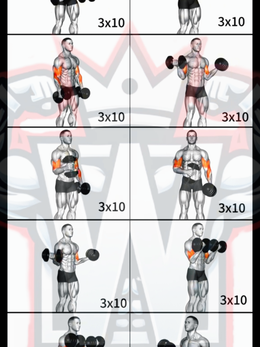 Best Dumbbell Bicep Workout for Bigger Arms | 3x10 Reps Each! 💪🔥  Build Bigger Biceps with Dumbbells!  This video shows you 10 powerful dumbbell bicep exercises — choose any 4–5 of them and perform 3 sets of 10 reps each to create your own workout! Whether it's the Hammer Curl, Concentration Curl, Zottman Curl, Alternating Curl, or Seated Curl, these moves are proven to grow your biceps with just dumbbells. Train consistently, control each rep, and your biceps will explode in size over time. No machines, no fancy gear — just dumbbells and hard work. 💯 Let your biceps do the talking!  #bicepsworkout #dumbbellworkout #armworkout #bicepsday #gainmuscle #homeworkout #fitnesschallenge #dumbbellbiceps #workoutmotivation #gymathome