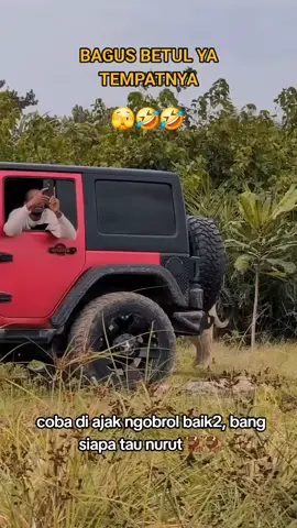 kaget pas ada penampakan,,🫣🫣 #potographer #viralvideo #ngakak #fypage #alam #tamansafari #fypage #lucu #singa #kaget 