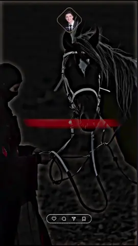 #𝐌𝐎𝐇𝐀𝐌𝐄𝐃 𝐒𝐀𝐀𝐃