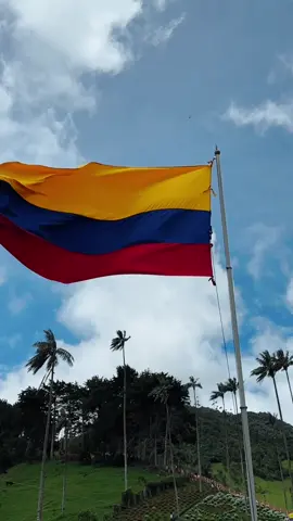 🇨🇴✨ Hoy con orgullo ondeamos la bandera de nuestra tierra querida. 📅 20 de Julio – Día de la Independencia de Colombia Recordamos nuestra historia, honramos a nuestros héroes y celebramos con el corazón lleno de patria. 💛💙❤️ ¡Colombiano de corazón, siempre presente! #20DeJulio #DíaDeLaIndependencia #Colombia #OrgulloColombiano #SoyColombiano  
