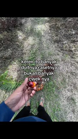 #storysawit🌴🌴 #sawitontiktok #sawitriau #foryou #fypage 