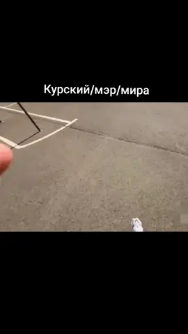 Курский/миллиардер/мэр/президент #fyp #kursk #sasavotглеб #сасавот #sasavot 