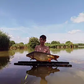 5 dni zasiadki na pzw oddało 13 karpiami 🤩 #sklepwędkarski #ultimateteam #fl #nash #fox #karpie #dzikawoda #karp #zasięgi #fishing #typodryb #ultimateteam #fishinglife #łowienie #wedkarstwo #carp #carpfamily @Fox International @Nash Tackle @Mikado Total Fishing @FatFish_pl Salon Wędkarski @Wiadro Wędkuje 🐟🎣 @Karpiowy Janusz @Karpiowy amator @Imodd812 @Ber Gar 