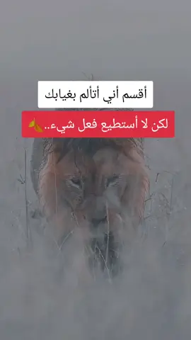 #عبارات #عبارات_حزينه💔 #عبارات_جميلة_وقويه😉🖤 #عباراتكم_الفخمه📿📌 #زيادة_المشاهدة 