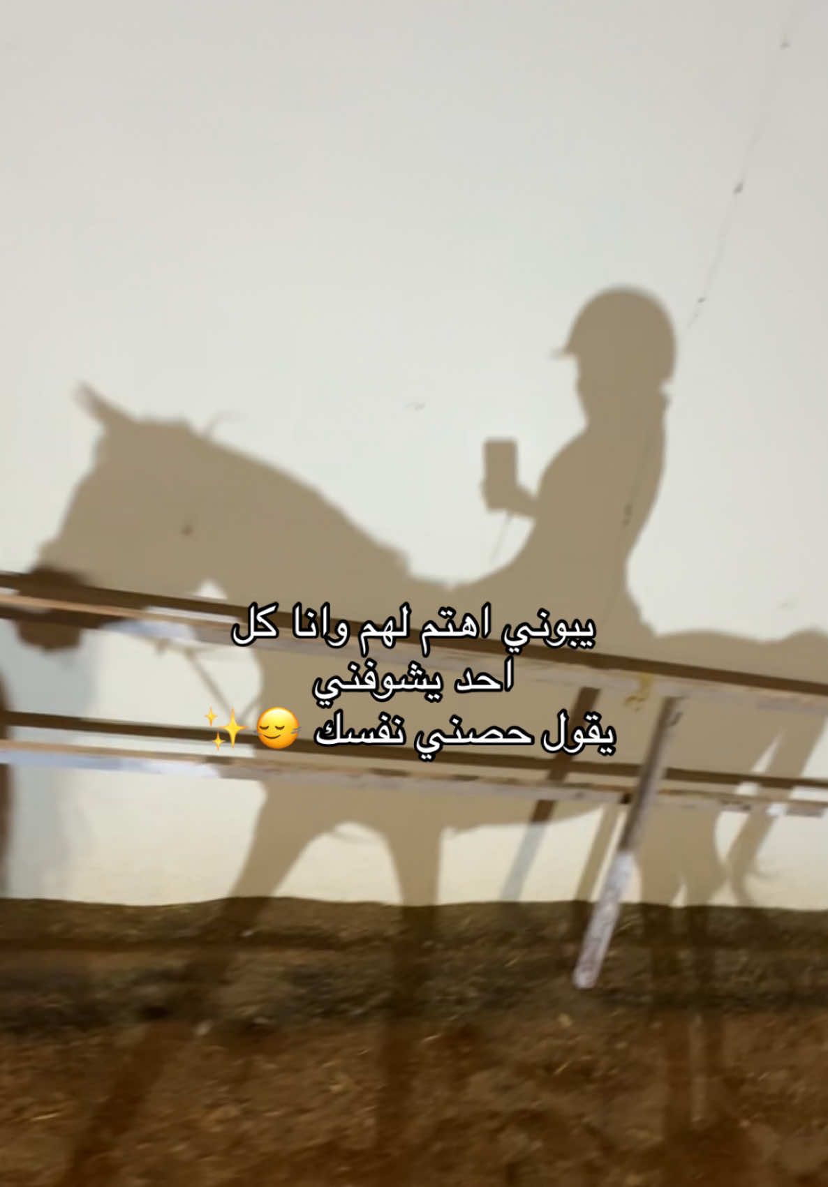 #خيل_وخياله🐎 #اكسبلور 