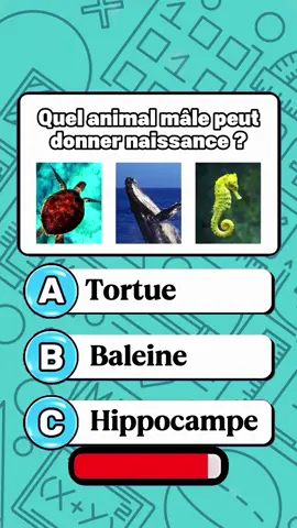 Défi de connaissances sur les animaux avec 5/5 énigmes avec moi ! #france🇫🇷 #france #paris #Quiz #question #minute #culture #iq #testreadychic #quizzchallengepotes #culturegénérale #pourtoii #culturequiz 