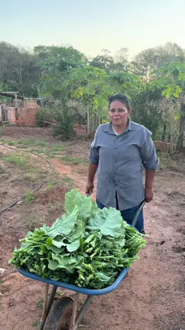 Orgulho da minha vida simples na roça. #horta #hortalicas #vidanaroca #agriculturafamiliar #foryoupage #agronegocio 