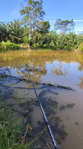 jangan lama2 gantung joran nya kawan#viraltiktok #castinggabus #mancingmania #castingfishing🎣 #