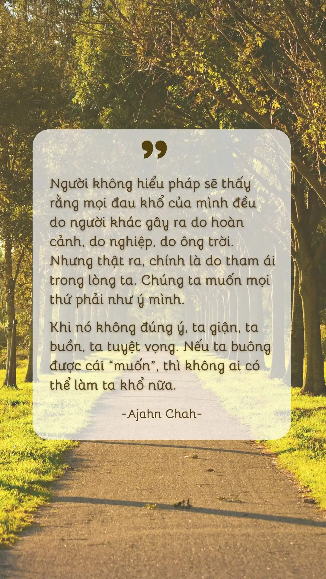 Không ai có thể làm khổ mình ngoại trừ chính mình #quatangannhien #ajahnchah #trichdanhay #phatphapvadoisong #yeuthuong 