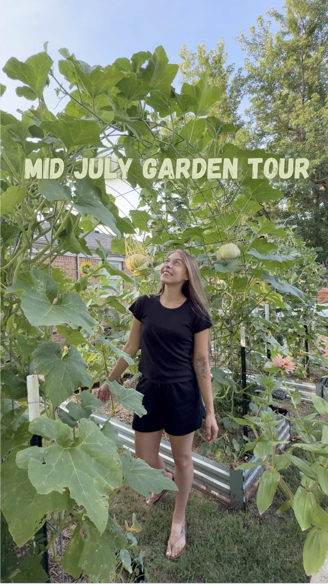 Mid July In The Garden! #homegrownfood #backyardhomestead #gardening 