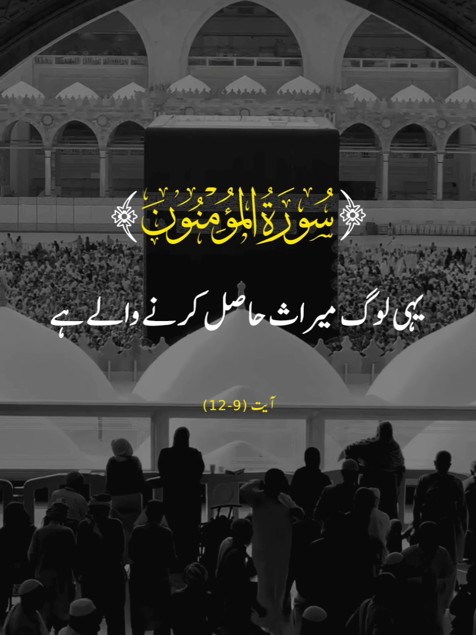SURAH AL MUMINUN🌻 VERSES (9-12) #repost #surahalmuminun #urduqurantranslation #alquran #fyp #viral #foryoupage #quranrecitation #qurantarjuma #supportme @quranmajeed1053 
