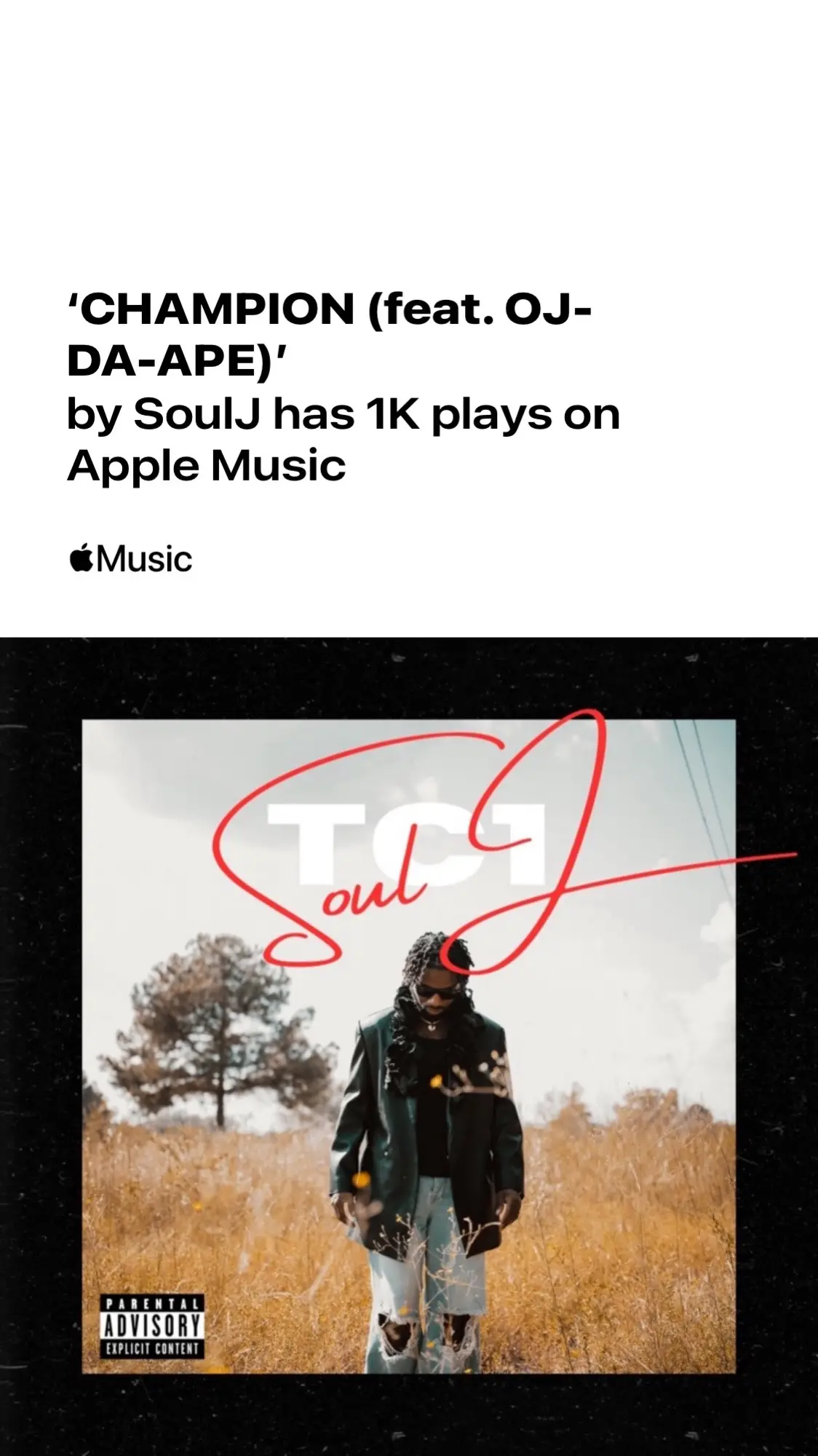 Thank you for the support! We finally reached 1k on my song Champion 💪🏾🤝🏾🔥 #fyp #champion #songwriter #explore #music #contentcreator 
