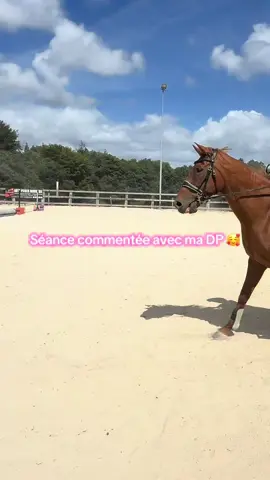 Dites-moi comment vous procéder pour la détente de votre cheval, ça m’intéresse énormément 🫶🩷 #equitation #cheval #cavaliere #equitok #passionequitation #pourtoii #fyp 