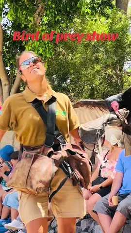 #creatorsearchinsights ##jungle park#birdsofprey #frryyyyyyyyyyyyyyy #tenerife 