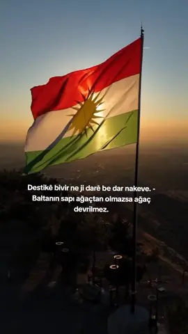 makarnacılar anladı#kesfetbeniöneçıkart #kurdish #keşfet #kurdistan🇹🇯️ #kürt 