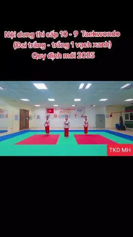 Nội dung thi cấp 10 - 9  (Đai trắng - trắng 1 vạch xanh)  Quy định mới 2025 Taekwondo. #vothuat #taekwondo #taekwondovietnam #taewondofighter #clbtaekwondominhhai 