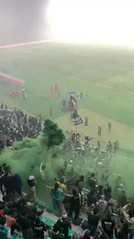 🐊💚#gbt#gbtcalling #persebaya 