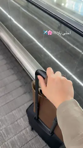 #احلى #يلاا #سفر #الصين_ماله_حل #ترند #تيك 