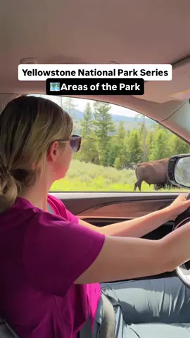 🚫Don’t visit Yellowstone before watching this video 👋🏼If you’re new to our page, WELCOME!!!🤩 We are Trevor and Riley, a travel couple from Ohio that loves sharing adventure travel inspiration, the best hikes, weekend getaways, and finding the best food everywhere we go!  😳Yellowstone National Park is MASSIVE. It is more than half the size of Northeast Ohio, the area we are from, and it is located in three states: Wyoming, Montana, and Idaho.  🖐🏼The park has 5 main boundaries that all boast different features: 🦣Mammoth Hot Springs in the North has lots of animal sightings and easy boardwalks. 🌋Norris is great for geysers and hydrothermal features like the Emerald Pool 🌊Canyon Village is home to the Grand Canyon of the Yellowstone (our favorite spot) 🗻Old Faithful is the most famous stop with big geysers and even bigger crowds 🍦Yellowstone Lake and Grant Village is a great place to unwind and see wildlife ❤️Save this reel for your Yellowstone National Park adventure! ✈️Follow @hikingwithhykes for our newest series on Glacier, Yellowstone, and Grand Teton National Parks! • • • • • • • • • • Yellowstone National Park | Where is Yellowstone National Park | Wyoming National Parks | National Park Road Trip | Glacier to Yellowstone | National Park Series | hiking Yellowstone National Park | #hikinghykes #nationalparkroadtrip #adventuretravel #roadtripusa #ohioblogger #yellowstonenationalpark