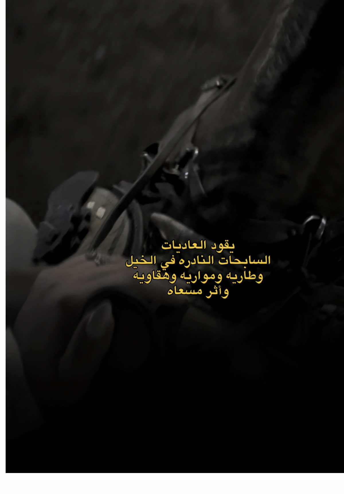 .  ‏كل شيء حولي غير مؤثر ، حتى أمنحه أنا القيمة…🐎🌟 . . . . . #ركوب_الخيل #CapCut #اكسبلورexplore #ريلز #خيل_وخياله🐎 #خيل_الحوت #اكسبلورexplore #foryou #النساء_هن_الحياة #capcuttemplate #تيك_توك_لايف #explorepage #النساء_قويات #كارزما_الواقع #مهره #خيول #zoomchallenge #zoom #2025 #iraq #comment #like #following 