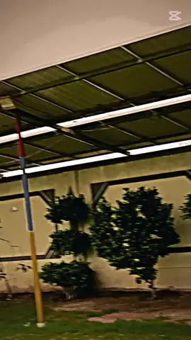 🦅🔥⚡