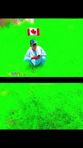 #CapCut 