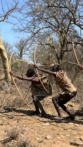Bow and arrow for life#fyp #foryou #cooking #viralvideos #culture #hadzabetribe #goviral #africa 