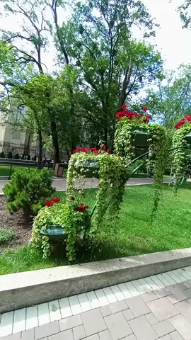 #youtubemylife #fypシ #funny #reki #rekomendasi #літо2025 #