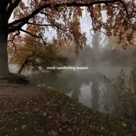 i can’t wait for autumn omg #autumn #autumnaesthetic #fall #falltok #fallaesthetic 