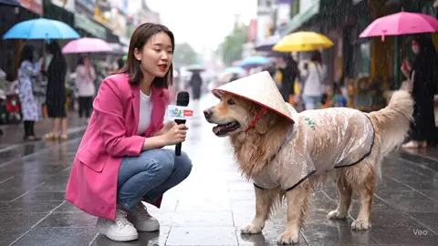 #videohaivietnam #AI#AIVideo#AIReels #hoidaaphaihai#onggaihoidap#onggaihoidap#cuoibung #chuyencuoi#khoanhkhacvui#videogiaitri#trichdoanvui   #cuoituoituoi #hinhaihaihuoc #videogiaitri #tiktokvietnam #haihuocvietnam #cogaicuongcuong #cutronglang