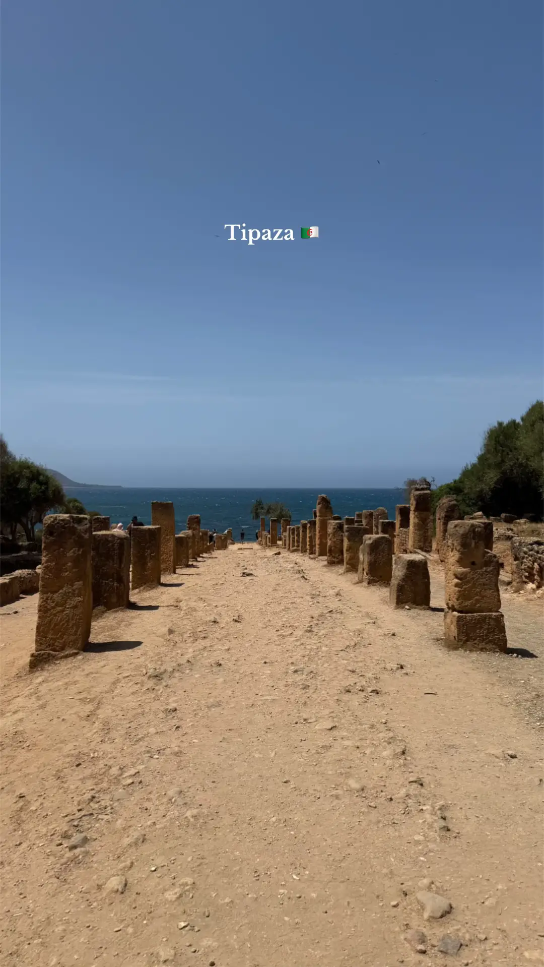 Explore Tipaza 🇩🇿✨ Wander through ancient Roman ruins with epic sea views, then hop on a boat to discover hidden caves along the Mediterranean coast. History and adventure in one magical spot! 🌊🏛️🛶 #Tipaza #Algeria #RomanRuins #HiddenCaves #alger #sea #beach #alger 