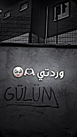 #gülüm #وردتي🌸 #تصميم_فيديوهات🎶🎤🎬تصميمي🔥 #تصميم_سامر❗️ #فيديو_ستار🚸🔥 #تصميم_كيرلي❗️ #تصميم_فيديو_ستار #اسطنبول #L #