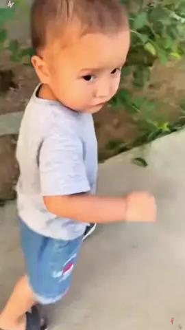 Try not to laugh #funny #funnyvideo #fyp #usa #tiktok 